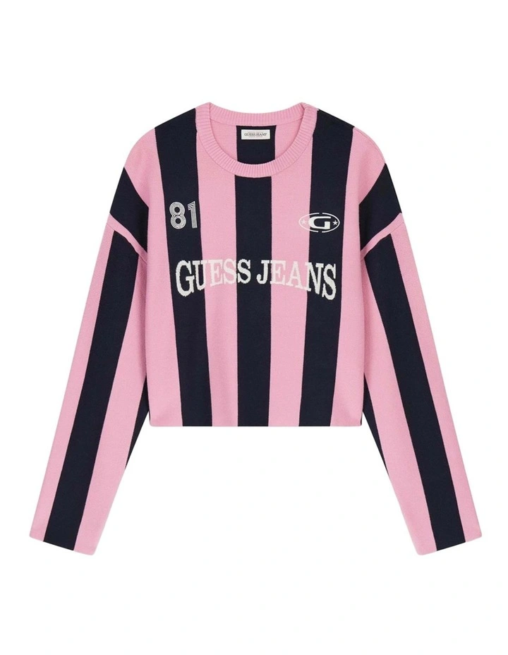 Striped Sweater in Pink/Blue Stripe image 5