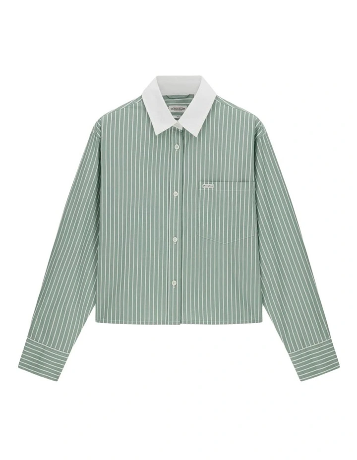 Cropped Woven Shirt in Salvia Green And White image 5