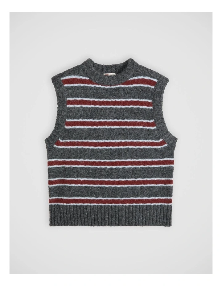 Alice Sweater Vest in Juliette Stripe Dark Grey Heather image 5