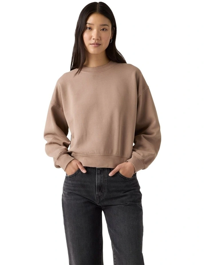 Vintage Boxy Sweatshirt in Pine Bark image 1