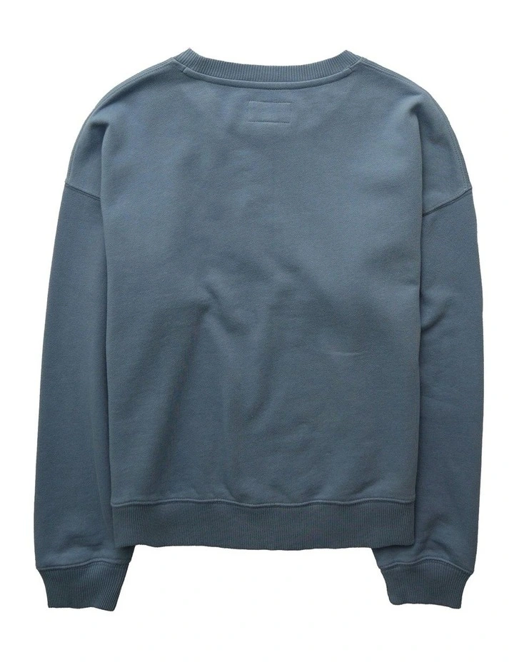Velvet Graphic Crew Neck Sweatshirt in Powder Blue image 4