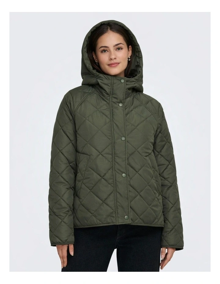 Apricot Hooded Jacket in Green image 1