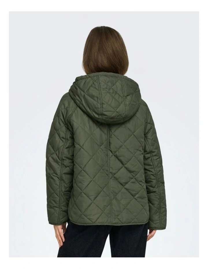 Apricot Hooded Jacket in Green image 2
