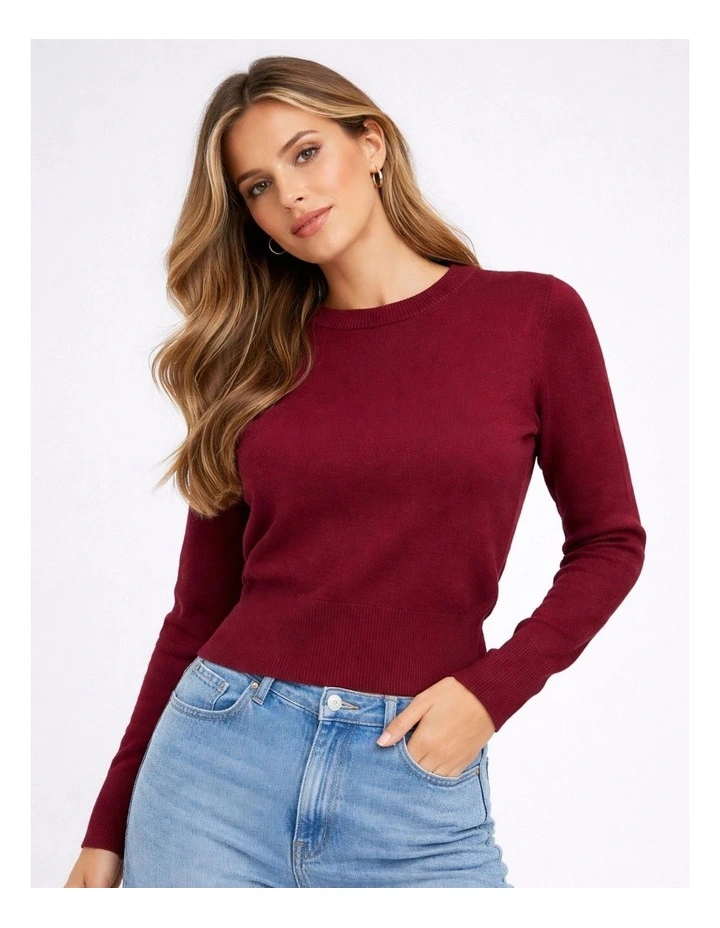 Libi Long Sleeve Fitted Knit in Burgundy image 1