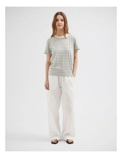 Striped Standard