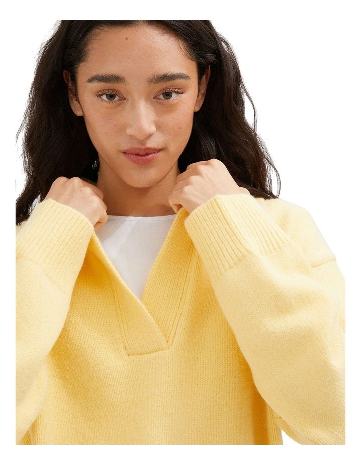 Collared Knit Jumper in Butter image 4