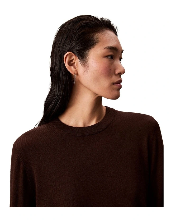 Long Sleeve Extrafine Merino Sweater in Brown image 4