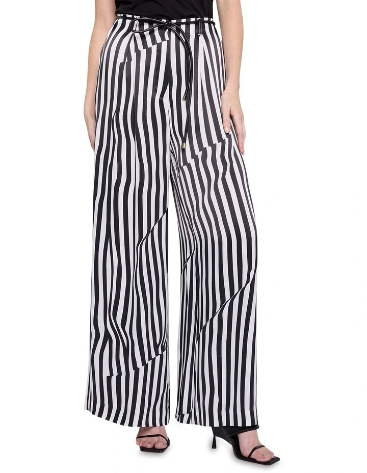 Taking Hold Pant in Multi image 2