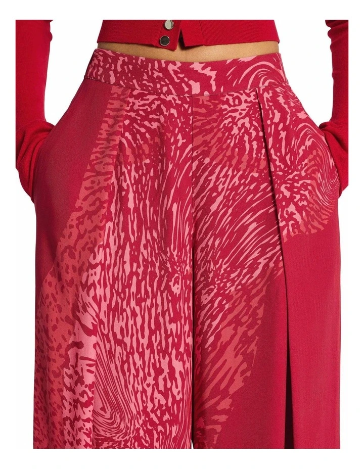 Paratones Pants in Print image 4