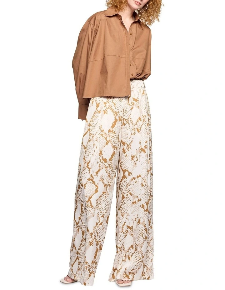 Santos Pant in Print image 1