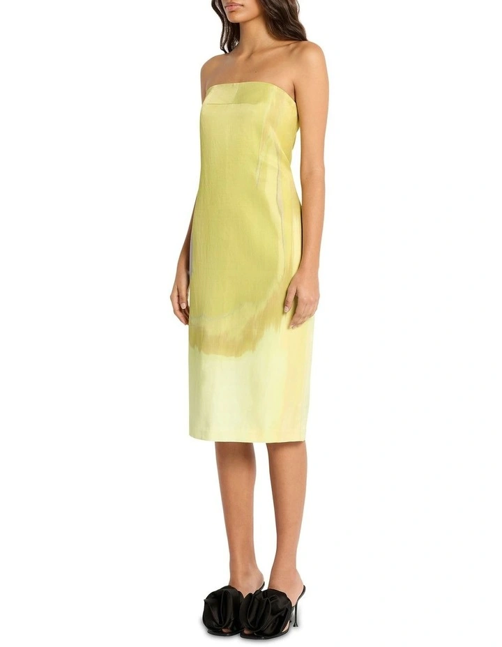 Ombre Landscape Dress in Print image 3