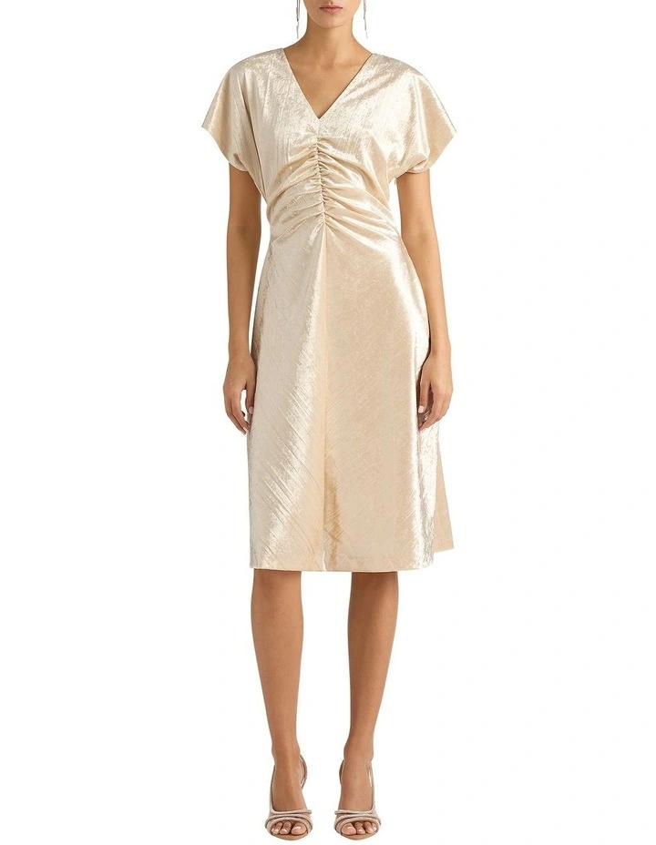 Kamiko Velvet Dress in Gilver image 1