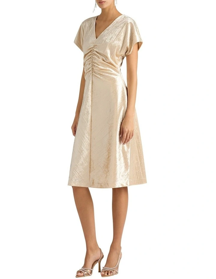Kamiko Velvet Dress in Gilver image 3