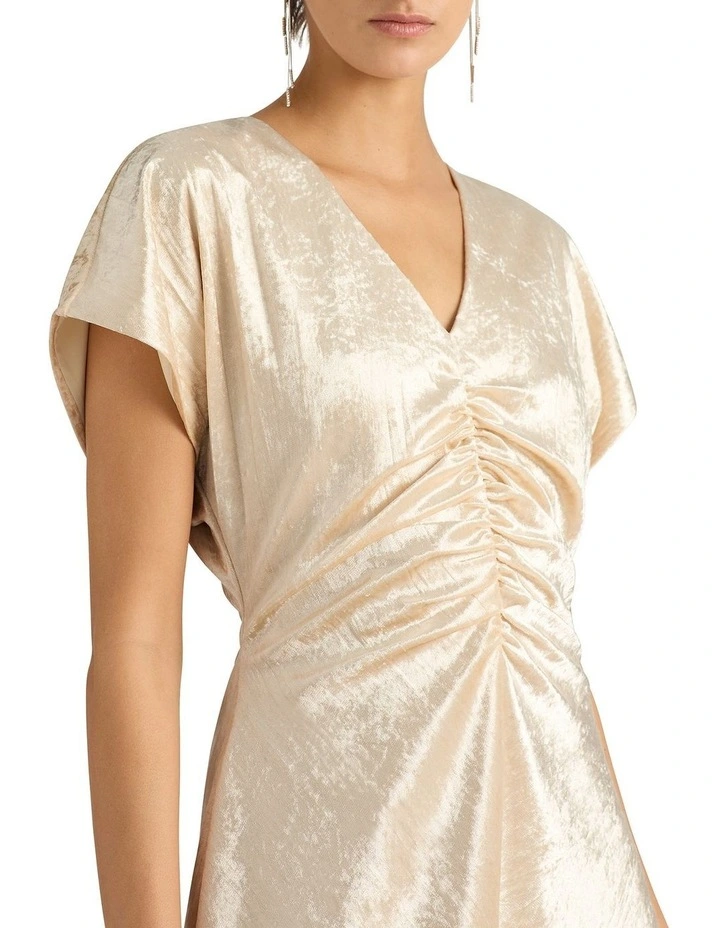 Kamiko Velvet Dress in Gilver image 4