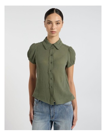 Olive Green colour