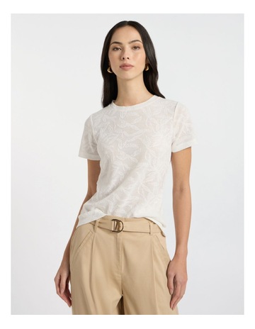 Ivory colour