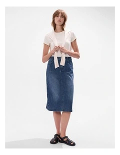 Molly Pinstripe Denim Skirt in Blue Stripe