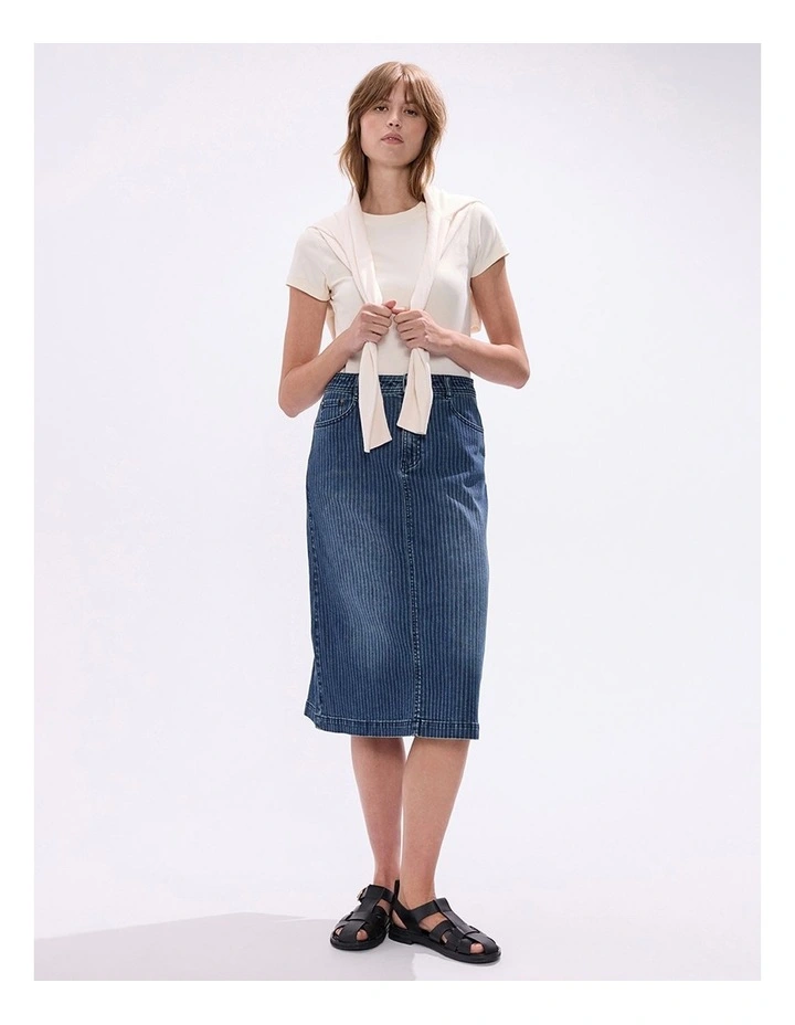 Molly Pinstripe Denim Skirt in Blue Stripe image 1