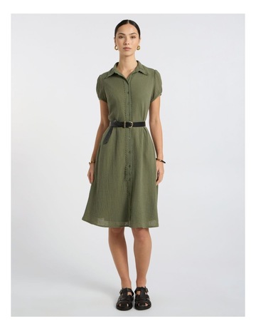 Olive Green colour