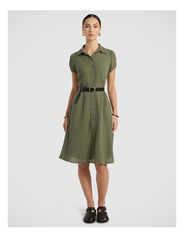 Olive Green colour