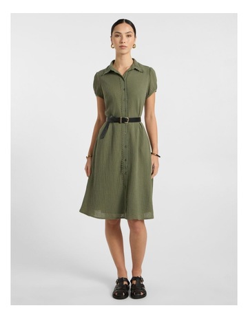 Olive Green colour