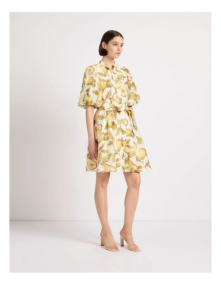 Pear-Suasion Dress in White Multi image 2