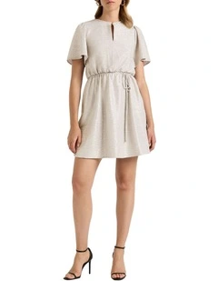 Ash Mini Dress in Silver