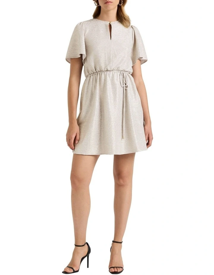 Ash Mini Dress in Silver image 1