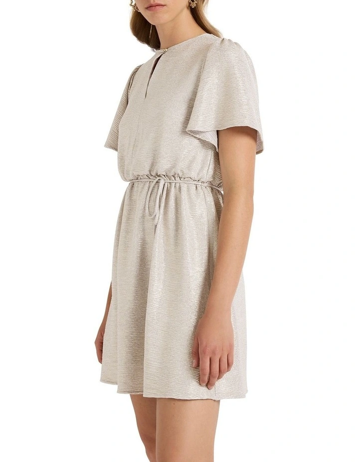 Ash Mini Dress in Silver image 2