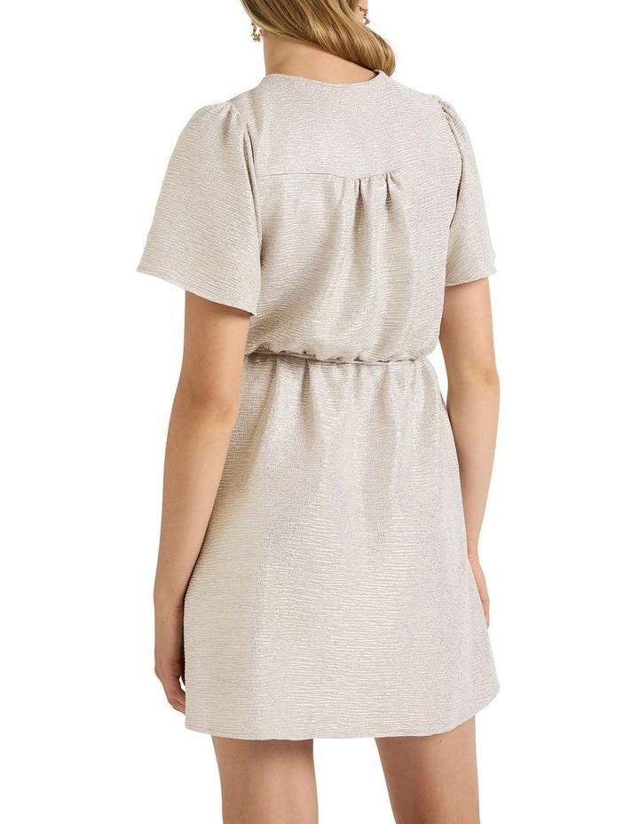 Ash Mini Dress in Silver image 4