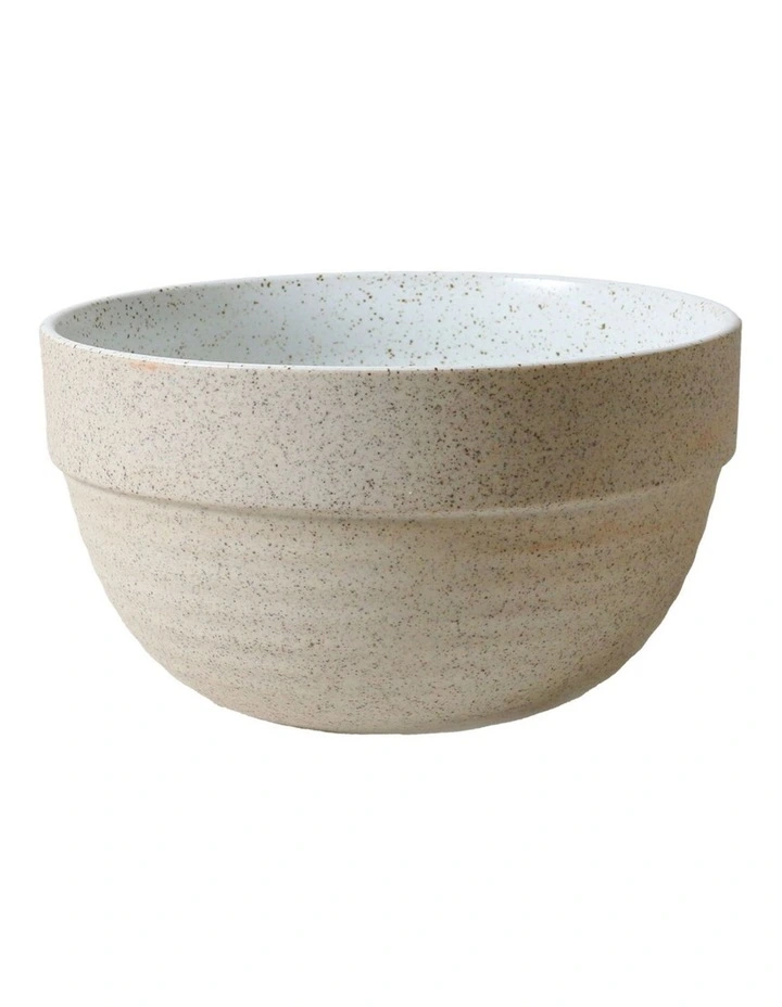 Garden To Table Pudding Bowl Set Of 2 1L in Raw W/White Speckle image 1