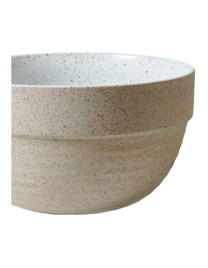 Garden To Table Pudding Bowl Set Of 2 1L in Raw W/White Speckle image 2