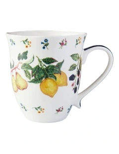 Frutta Scallop Coupe Mug 440ml in Multi