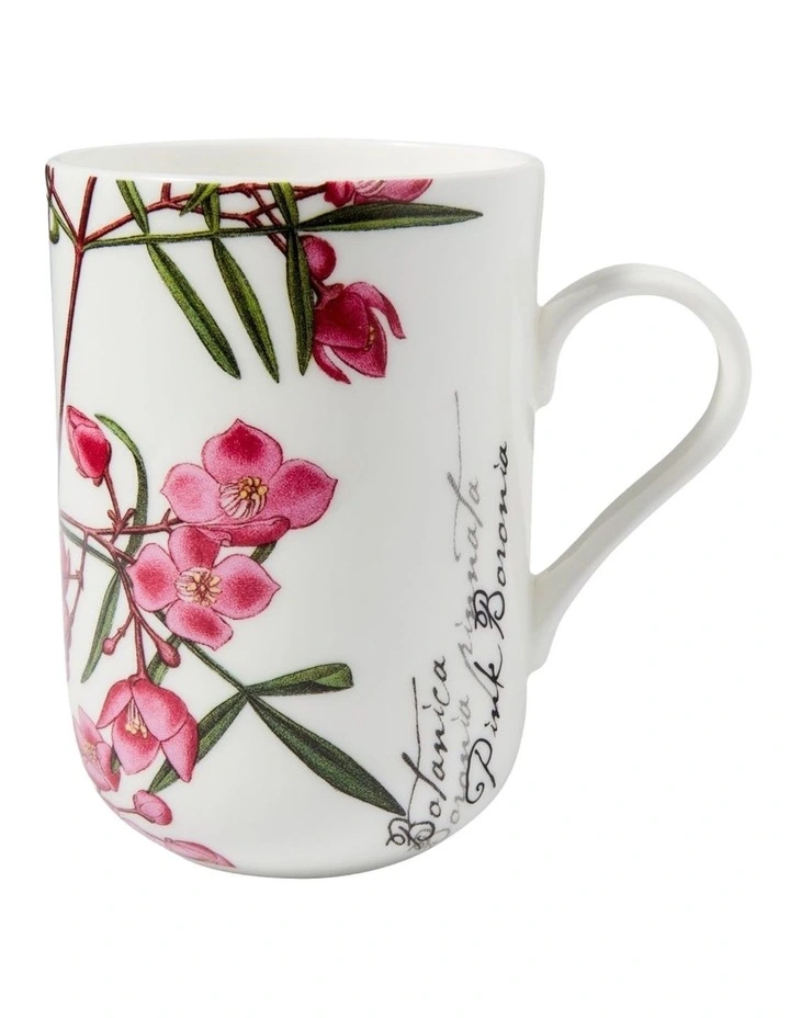 Royal Botanic Garden Mug 300ml Boronia Gift Boxed in Multi image 1