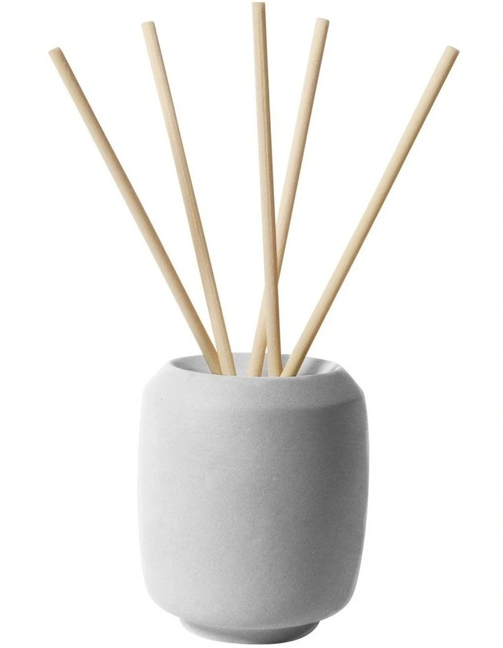 Life On Earth Puk Diffuser with White Tea Scented Sticks in Fog image 1