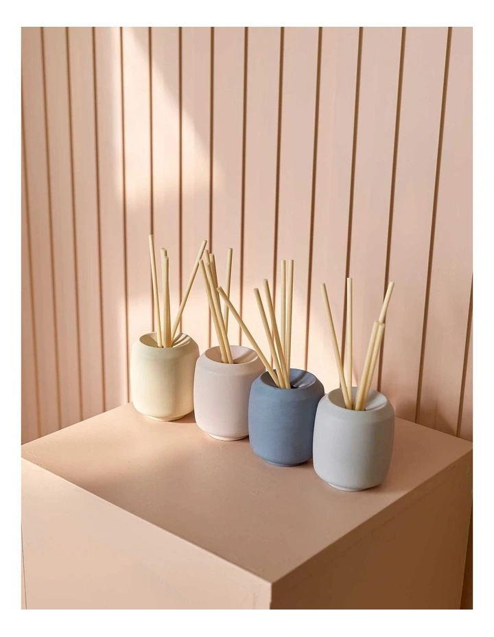 Life On Earth Puk Diffuser with White Tea Scented Sticks in Fog image 5