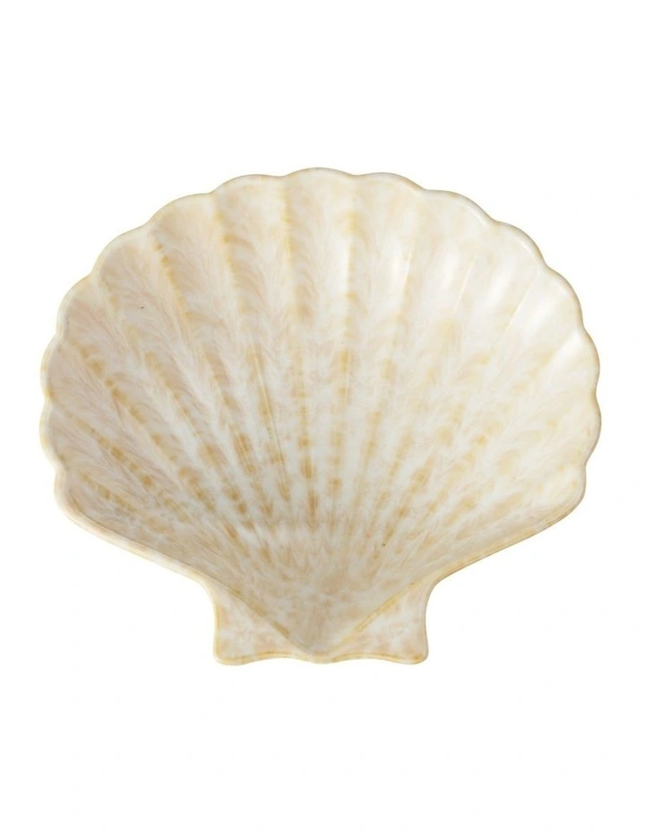 Il Mare Conchiglia Dish 15x2.5cm Sand image 3