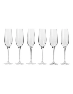Harmony Champagne Flute 200ml Set of 6 Gift Boxed in Clear