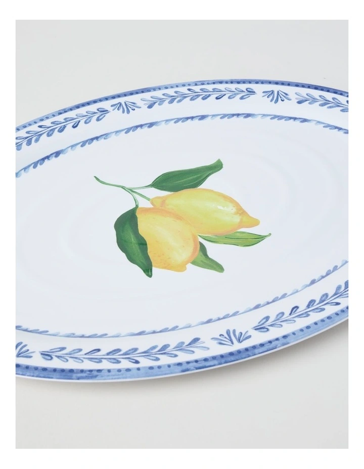 Citrus Oval Platter 50cm image 3