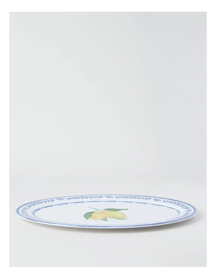 Citrus Oval Platter 50cm image 4