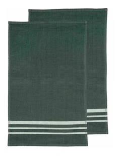 Terry Kitchen Towel 2 Pack in Green