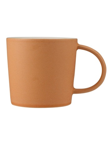 Cinnamon colour