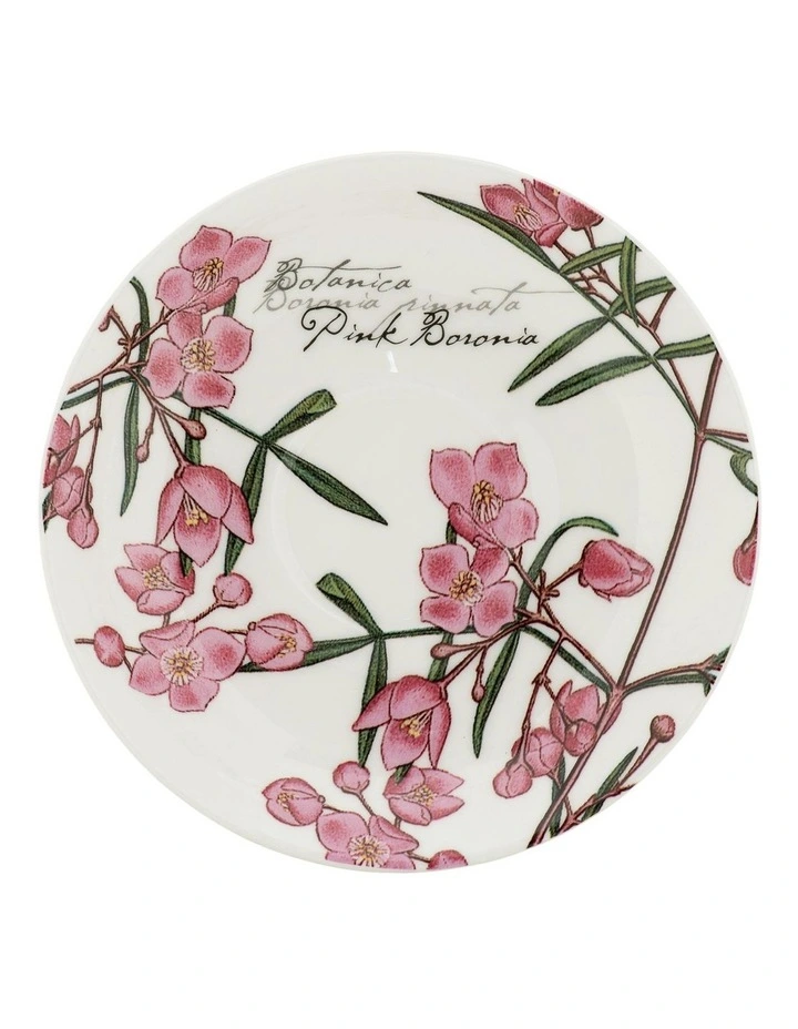 Royal Botanic Gardens Cup & Saucer 450ml Boronia Gift Boxed in Multi image 4
