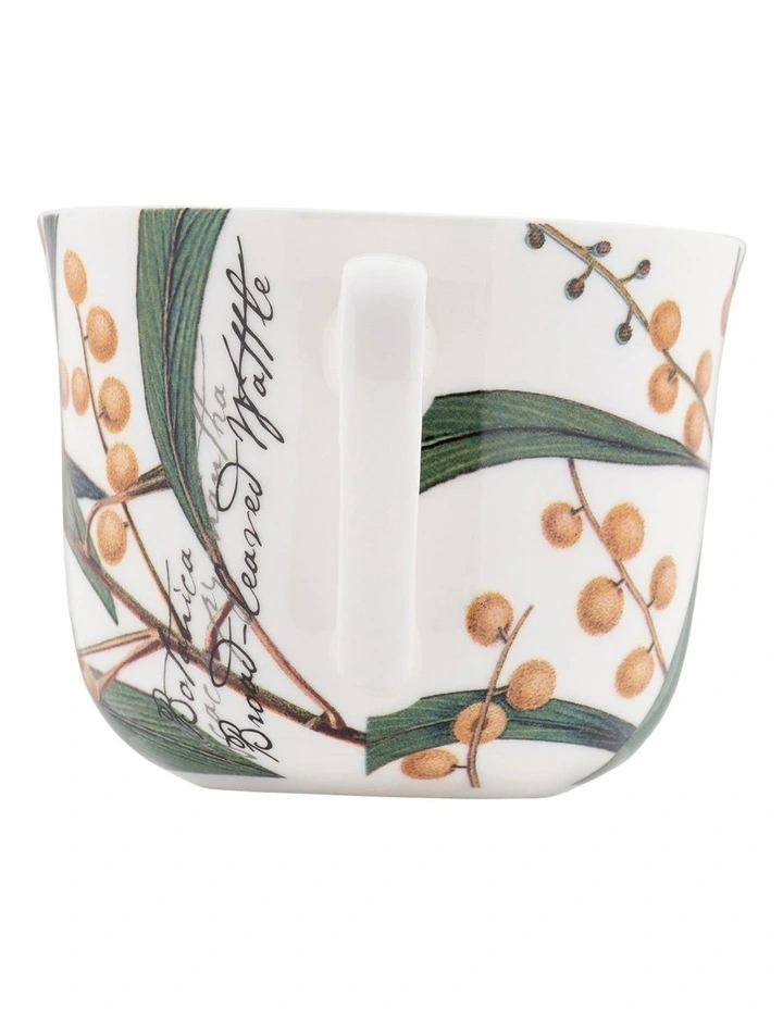 Royal Botanic Gardens Botanica Cup and Saucer Wattle Gift Boxed in Multi image 3