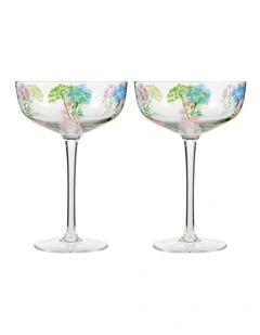 Cherish Coupe Glass 300ml Set of 2 in Multi