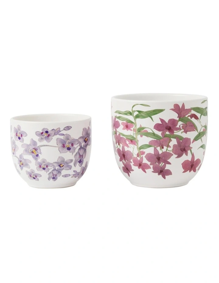 Royal Botanic Gardens Australian Orchids Planter Set of 2 Gift Boxed in Pink/Lilac image 1