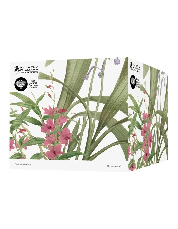 Royal Botanic Gardens Australian Orchids Planter Set of 2 Gift Boxed in Pink/Lilac image 2