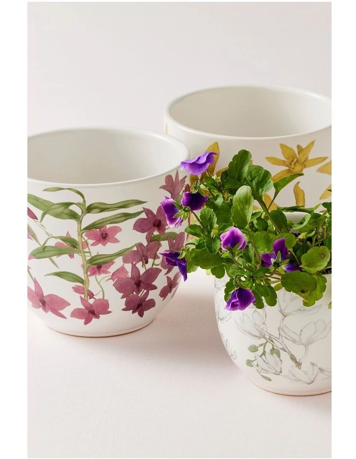 Royal Botanic Gardens Australian Orchids Planter Set of 2 Gift Boxed in Pink/Lilac image 3