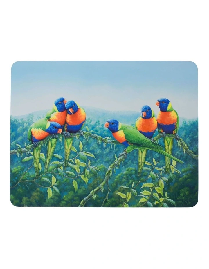 Birds of Australia KC 10-Year Anniversary 34x26.5cm Set of 4 Cork Back Placemat in Multi image 6