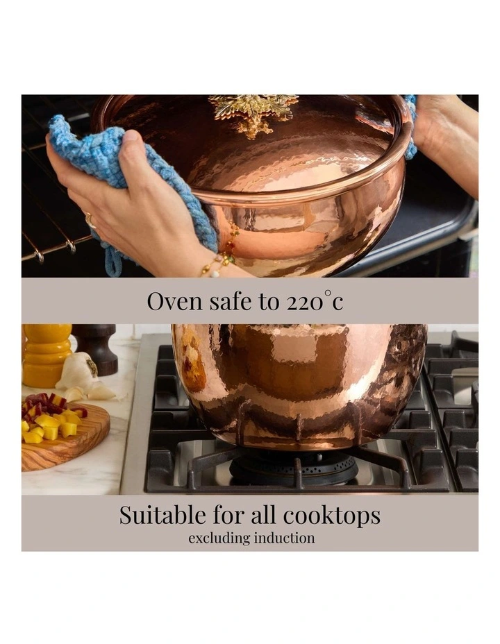 Disney Copper Covered Brasier Donald 28cm/6L in Copper image 5